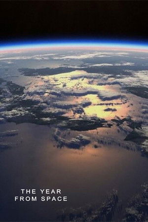 The Year from Space (2023)