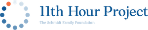 Logo The 11th Hour Project