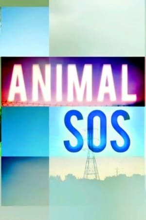 Poster Animal SOS 1ος κύκλος 2014