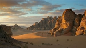 poster Wild Arabia