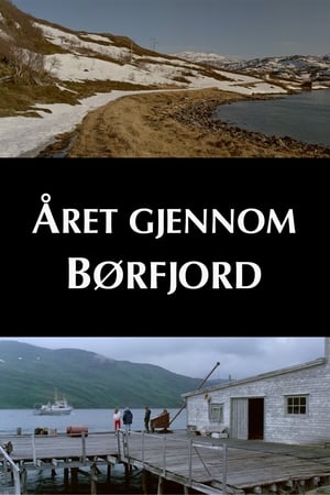 Poster Året gjennom Børfjord 1991