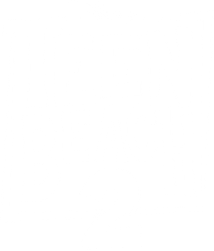 Teen Beach 2