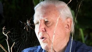 Micro Monsters with David Attenborough Family