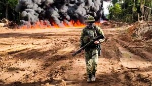 Anarchy in the Amazon