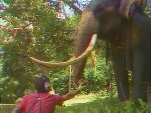 Episode 15
