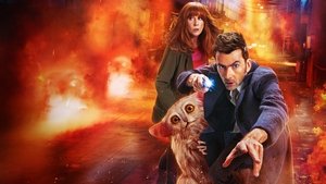 Doctor Whor – Especial