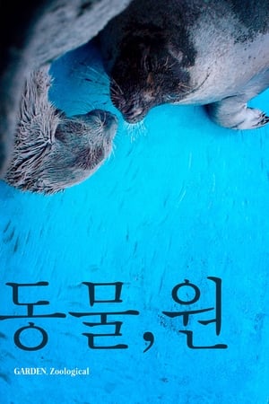 Poster 동물, 원 2019