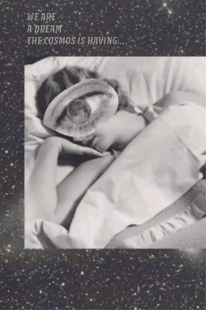 We Are a Dream the Cosmos is Having