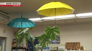 Journeys in Japan: 14×19