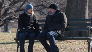 Homeland Season 6 Episode 9