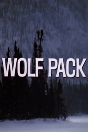 Poster Wolf Pack 1974