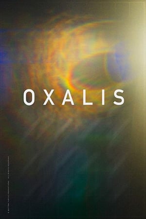 Poster Oxalis (2018)