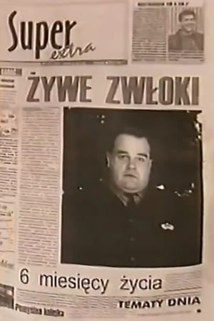 Poster Na planie nowego serialu "Miodowe lata" 1998