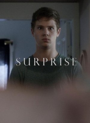 Surprise 2015 peliculas completa en espanol latino HD