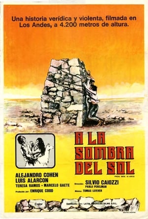 A la sombra del sol poster