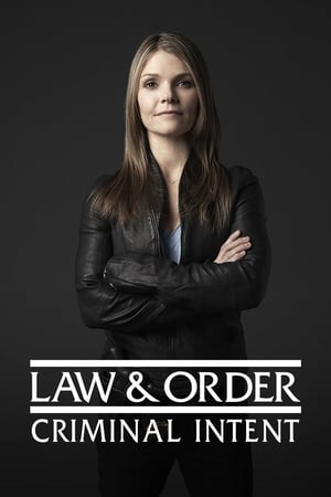 Law & Order: Criminal Intent poster