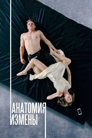 Poster Анатомия измены 2017