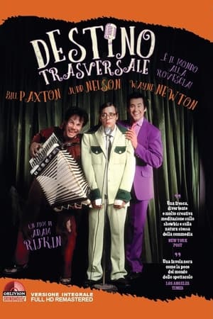 Poster Destino trasversale 1991