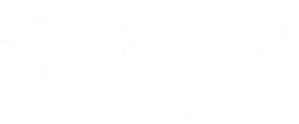 SPRIGGAN — Logos 4