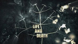 Life and Death