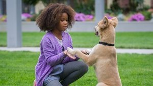 مشاهدة فيلم Annie 2014 مترجم