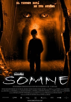 Poster Somne (2005)