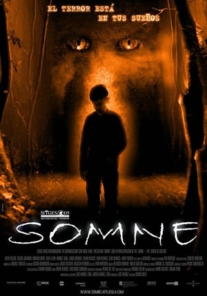 Poster Somne 2005
