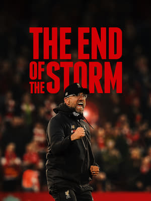 Poster The End of the Storm 2020