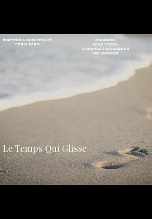 Poster Le Temps Qui Glisse (2011)