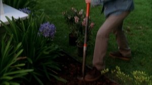 Desperate Housewives: 6×22