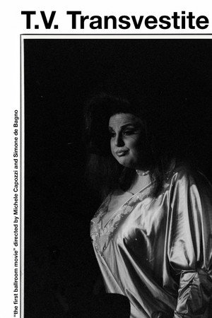 T.V. Transvestite 6