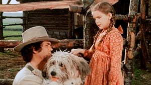 poster Little House on the Prairie