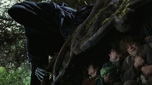 Stapânul Inelelor: Fratia Inelului (2001) – Dublat în Română