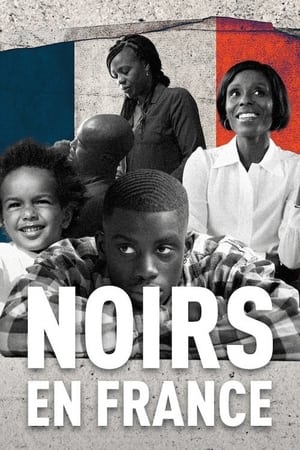 Poster Noirs en France (2022)