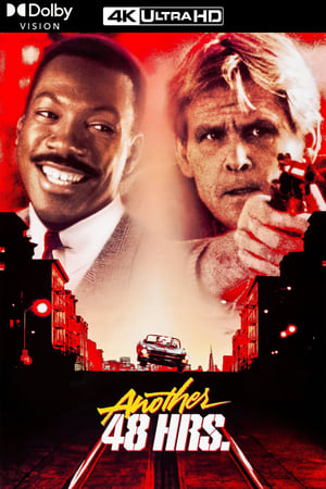 Постер фильма «Другие 48 часов (1990)» — (15 из 38)