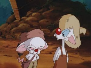 Pinky & der Brain: 4×8