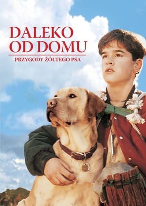 Poster Far from Home: The Adventures of Yellow Dog 1995