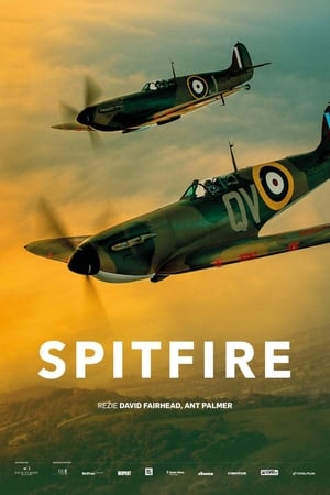 Poster Spitfire 2018