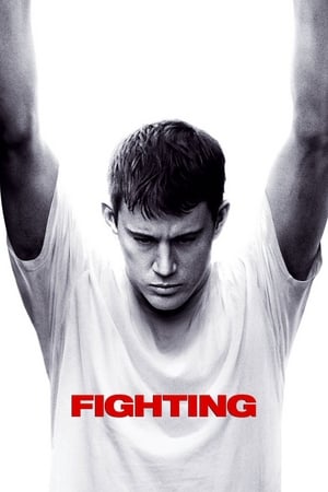 Click for trailer, plot details and rating of Fighting (2009)