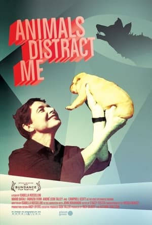 Poster Animals Distract Me (2011)