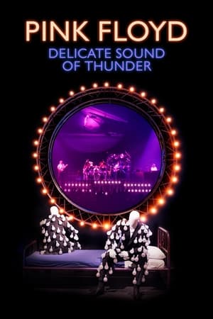 Poster Pink Floyd - Delicate Sound of Thunder 1989