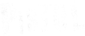 Pistol
