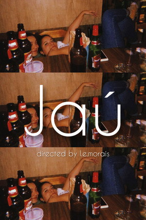 Jaú, portrait of a São Paulo night