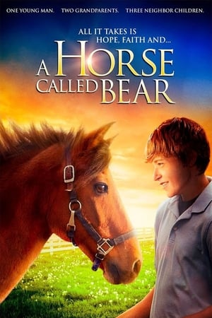 Poster A Horse Called Bear 2015