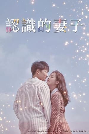 Poster 认识的妻子 2018