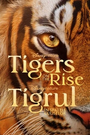 Poster Tigrul: În spatele culiselor 2024