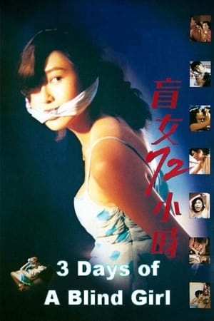 Poster 3 Days of a Blind Girl 1993