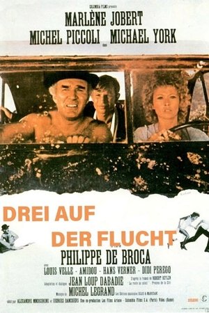 Image Drei auf der Flucht