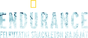 Endurance — Logos 8