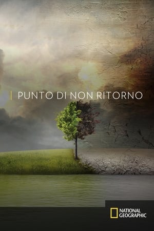 Poster Punto di non ritorno - Before the Flood 2016